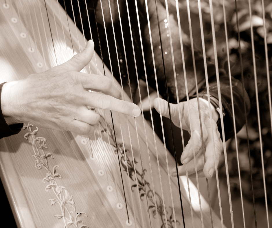 Palm Beach wedding music, Jupiter Florida wedding music, West Palm Beach wedding music, wedding music, wedding band, wedding violin, wedding guitar, wedding quartet, wedding piano, wedding singer, wedding venue, Palm Beach wedding venue, palm beach banquet, harp, wedding harp, Palm Beach ballroom, Jupiter Florida Banquet, Jupiter Florida ballroom